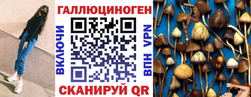 где купить   мега зеркало  Галлюциногенные грибы Psilocybe  Горнозаводск 
